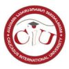 Caucasus International University
